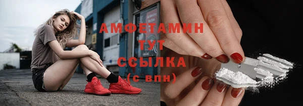 крисы Ельня