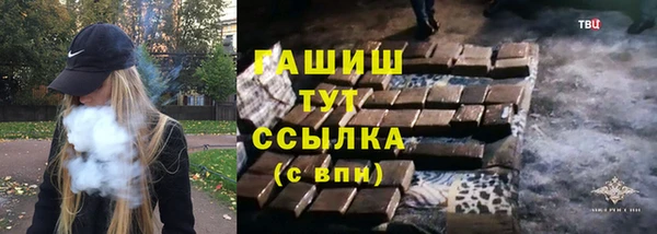 крисы Ельня