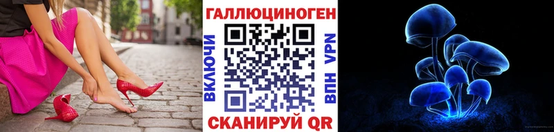 Псилоцибиновые грибы Cubensis  купить наркотики цена  Иланский 