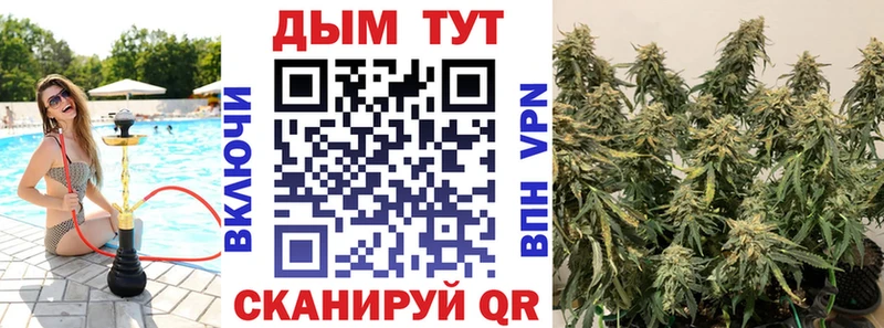 Шишки марихуана AK-47 Иланский